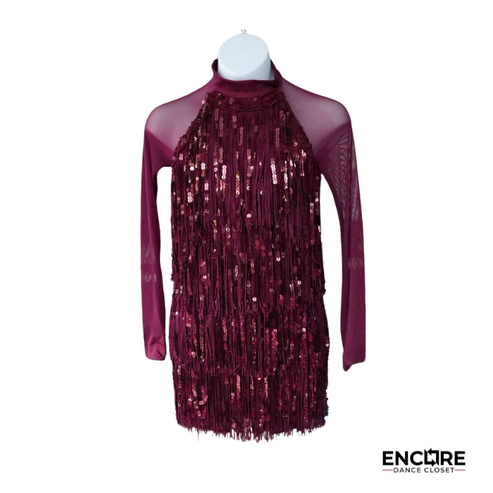 Burgundy Sequin Fringe Jazz Costume with Sheer Long Sleeves  dress