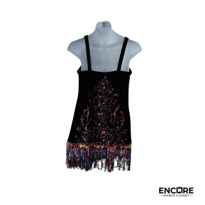 Rainbow Sequin Fringe Jazz Dress  dress
