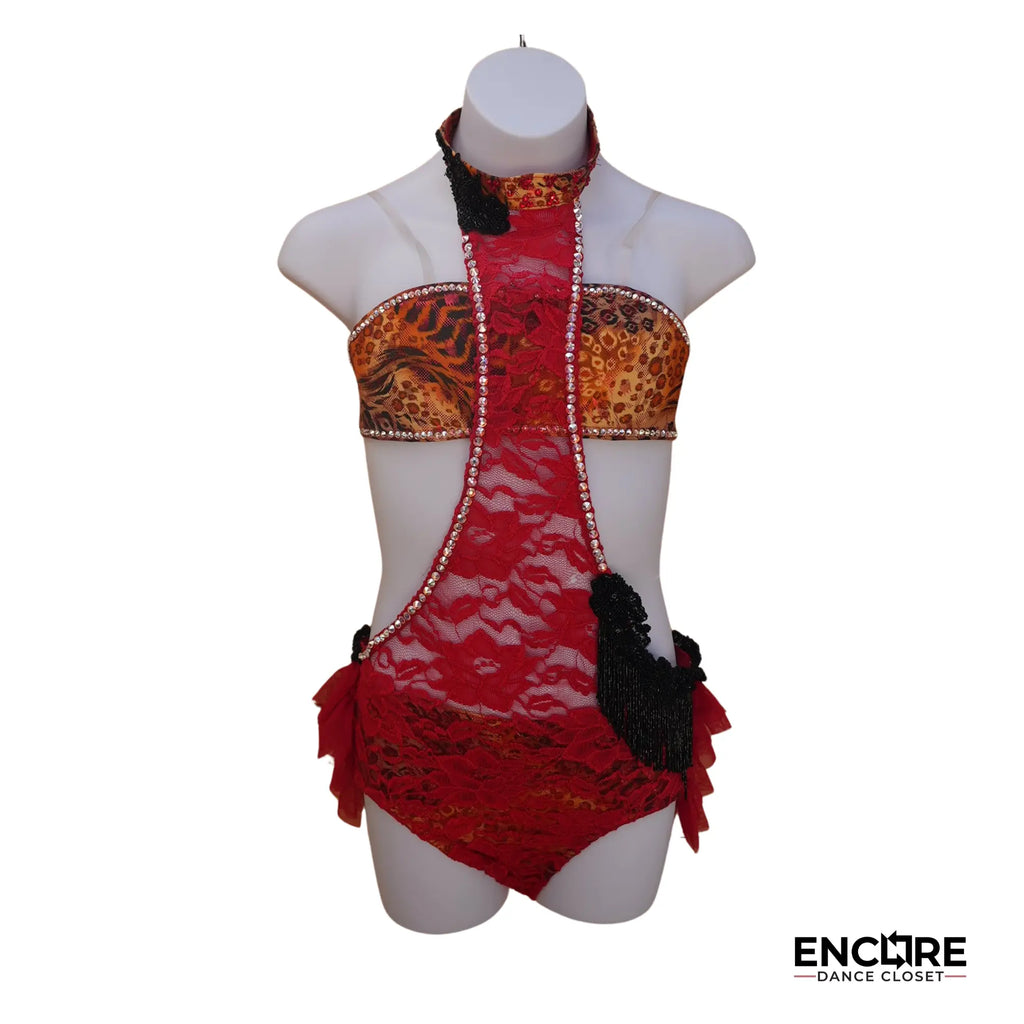 Animal Print Bandeau (AS)  two piece