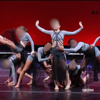 Sage Crop Top & Black Mesh Skirt  biketard