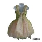 Garden Fairy  dress