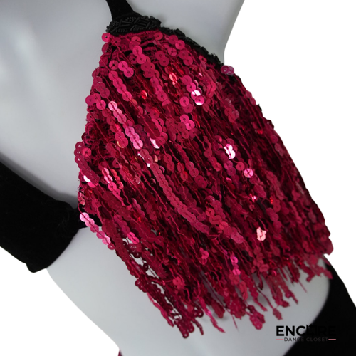 Black Velvet & Fuchsia Sequin Fringe Two-Piece  two piece