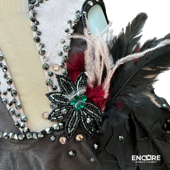 Intricate Feathered Leotard with Detachable Cape - Encore Dance Closet