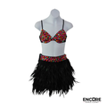 Multicolor Sequin Feather Jazz Costume  two piece