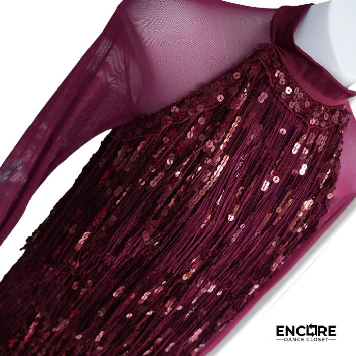 Burgundy Sequin Fringe Jazz Costume with Sheer Long Sleeves  dress
