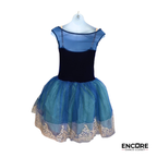 Midnight Waltz  dress