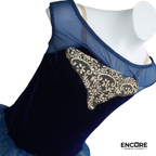 Midnight Waltz  dress