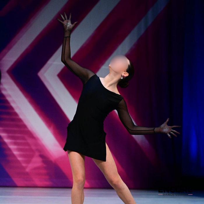 Black Mesh & Rhinestone Long Sleeve Costume