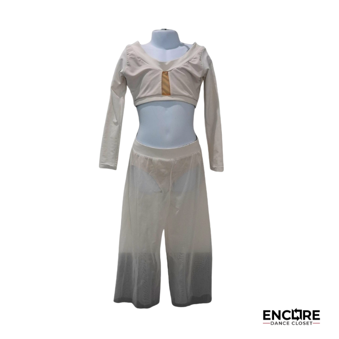 Sheer Harmony  two piece