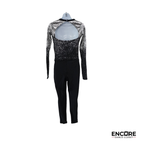 Starlit Ombre  unitard