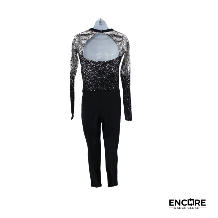Starlit Ombre  unitard